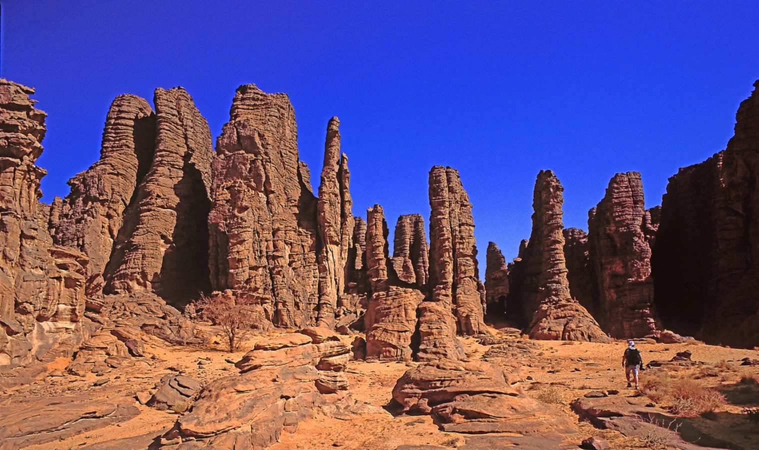 Resilience by Design